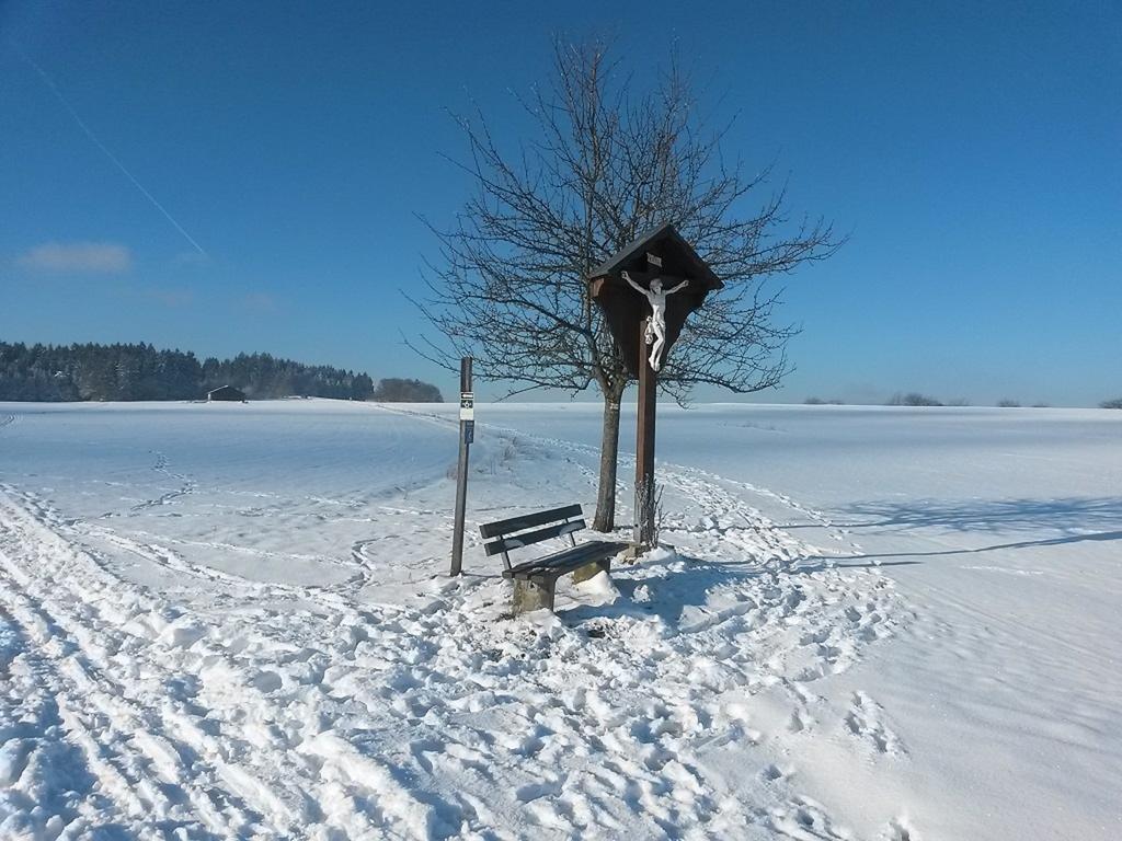 Ferienwohnung Am Kapellenaecker Neumarkt in der Oberpfalz Exterior foto